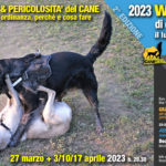 Webinar 27marzo + 3/10/17 aprile 2023: AGGRESSIVITA’ & PERICOLOSITA’ del CANE